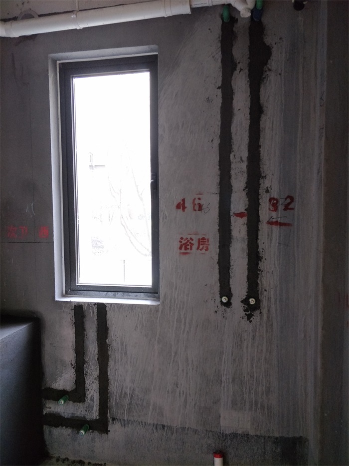IMG20190315130227.jpg