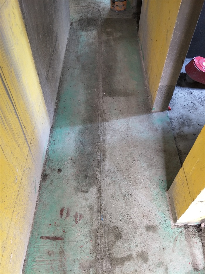 IMG20190315130320.jpg