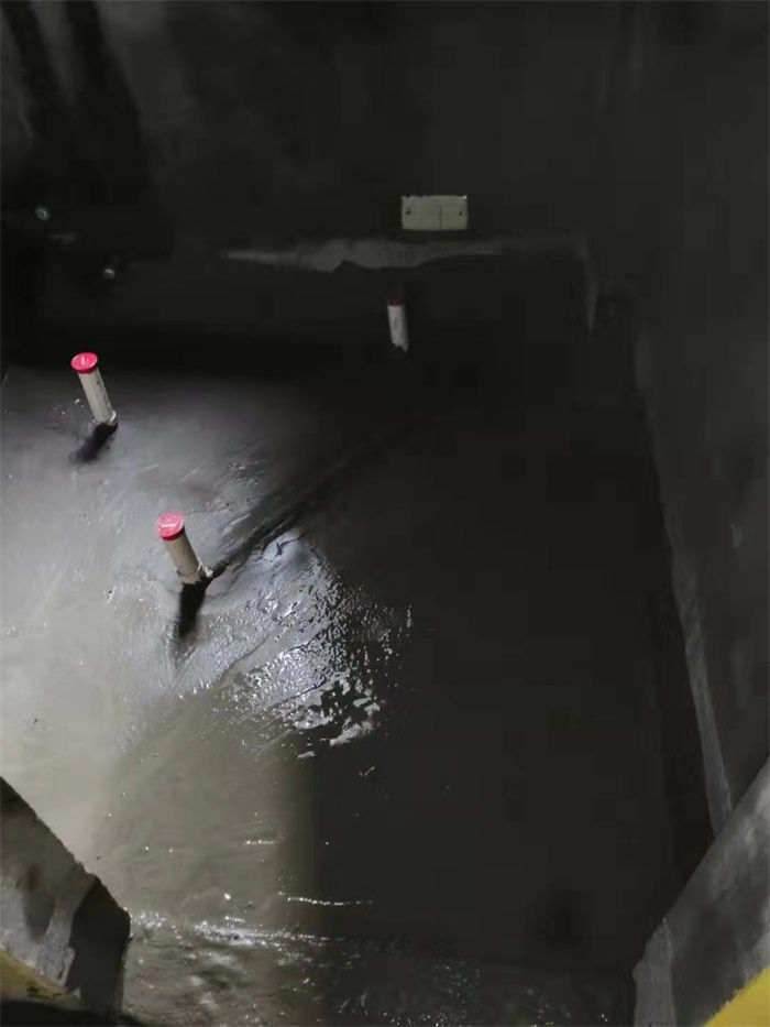 mmexport1552642051060.jpg