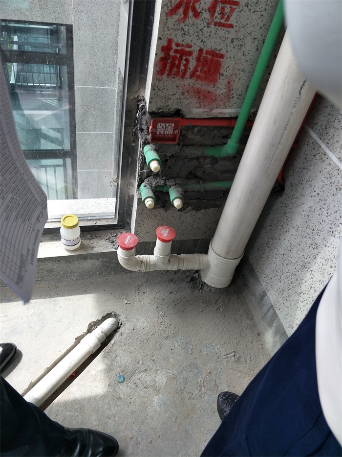IMG20190316132251.jpg
