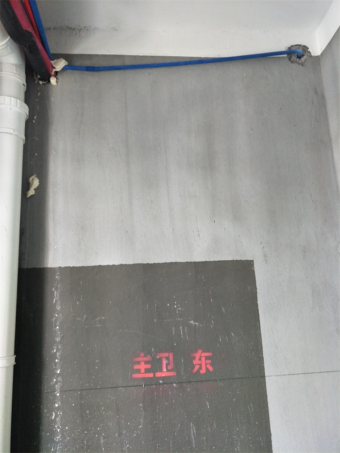 IMG20190316124204.jpg