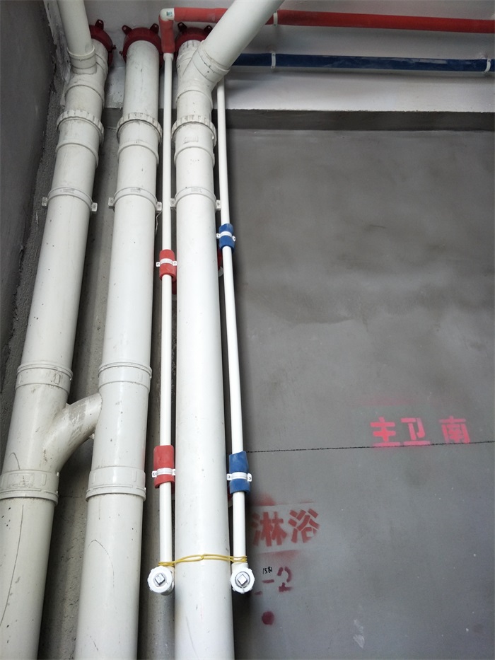 IMG20190315121535.jpg
