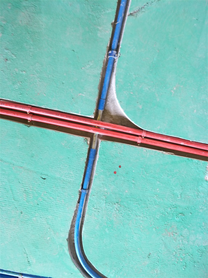 IMG20190315125120.jpg