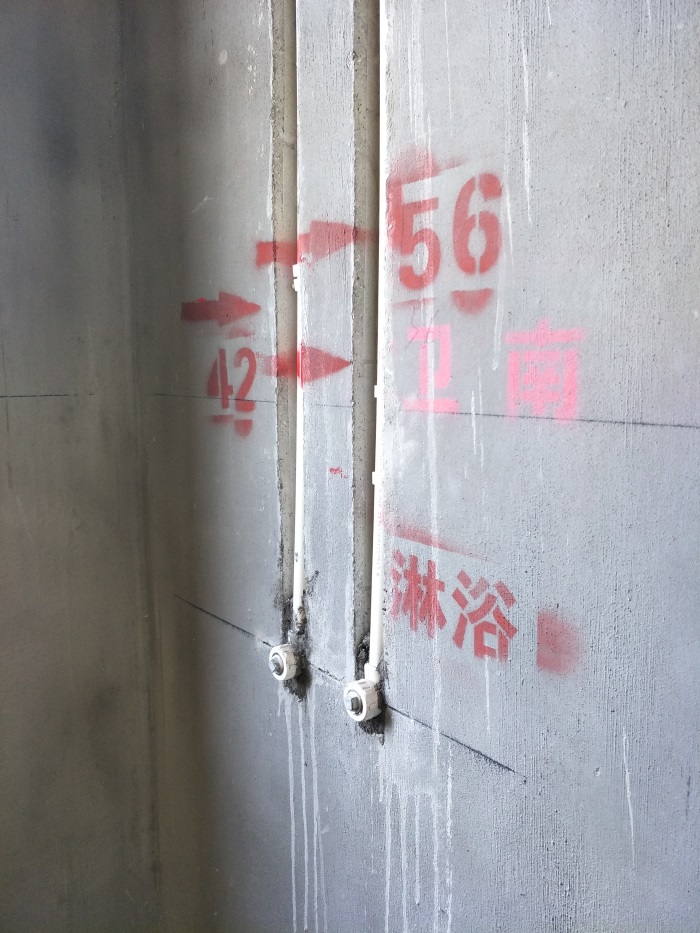 IMG20190315123100.jpg