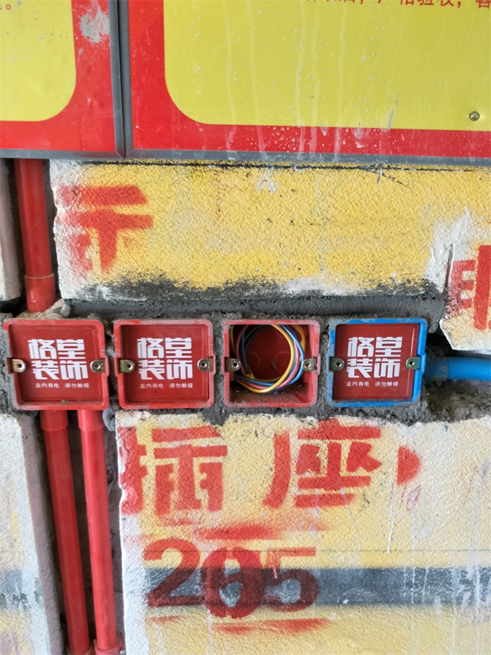 IMG20190315123404.jpg