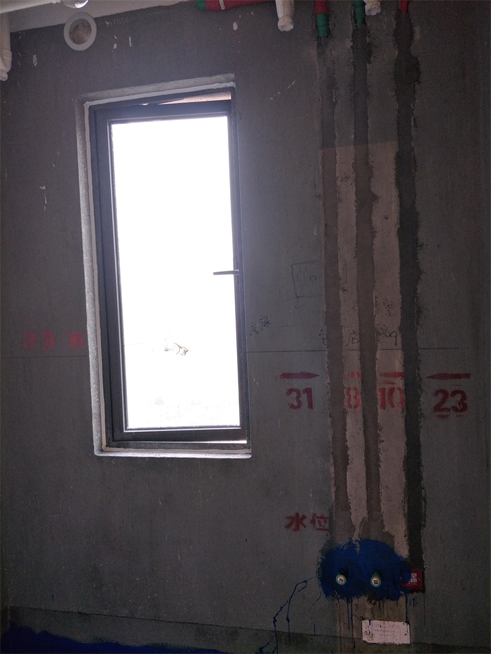 IMG20190317153151.jpg