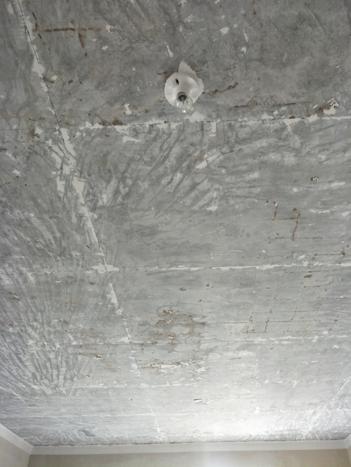 IMG20190319091524.jpg