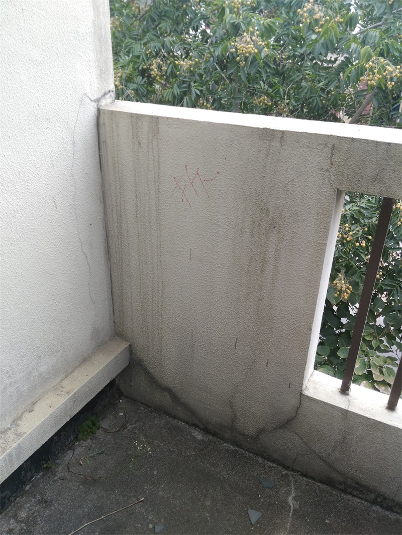 IMG_20181009_100955.jpg