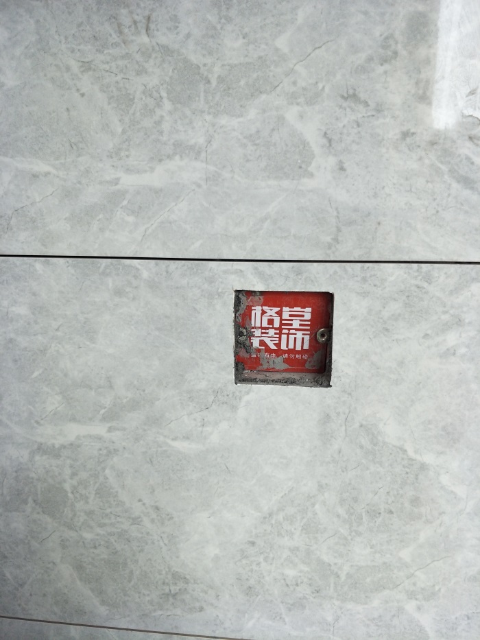 IMG20190323145651.jpg
