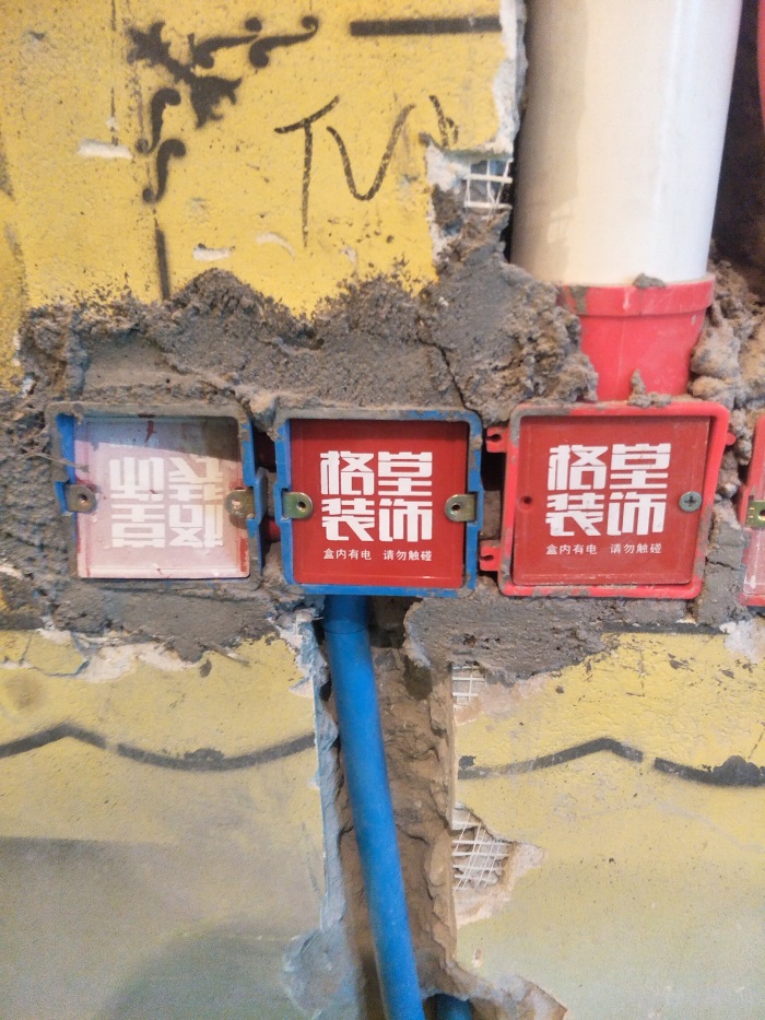 IMG20190322092556.jpg