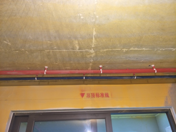 IMG20190322092912.jpg