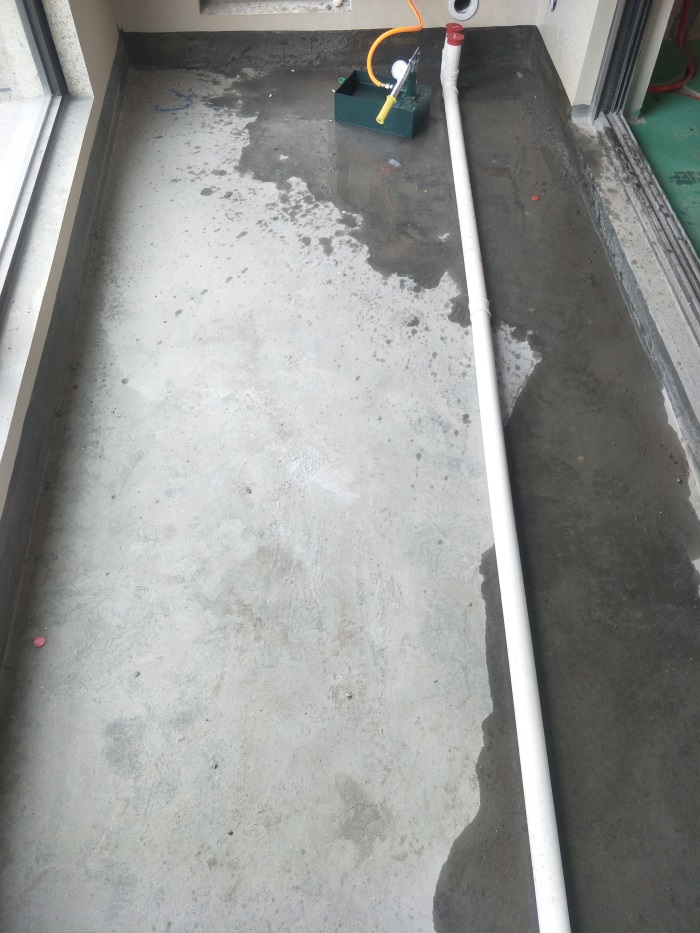 IMG20190322084736.jpg
