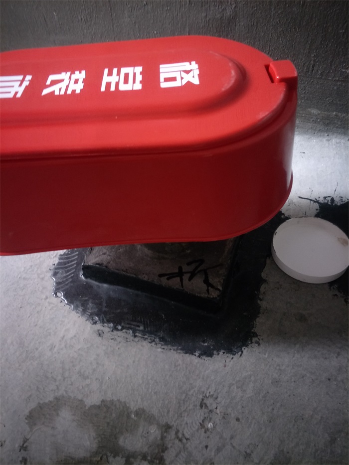IMG20190324144051.jpg