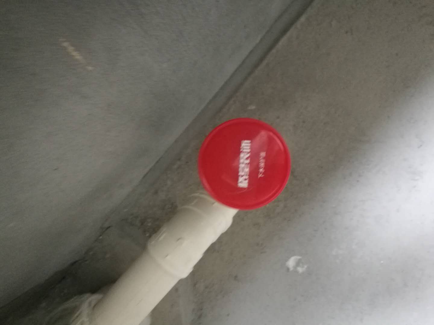 dd9e8d9dc06c84628a70f1b2a408184.jpg