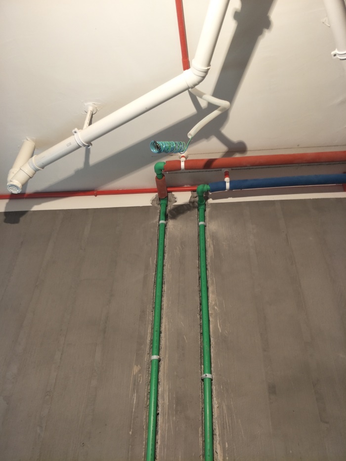 IMG20190326160518.jpg
