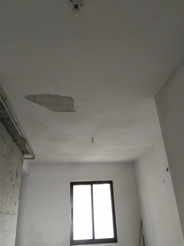 IMG_20190306_112021.jpg