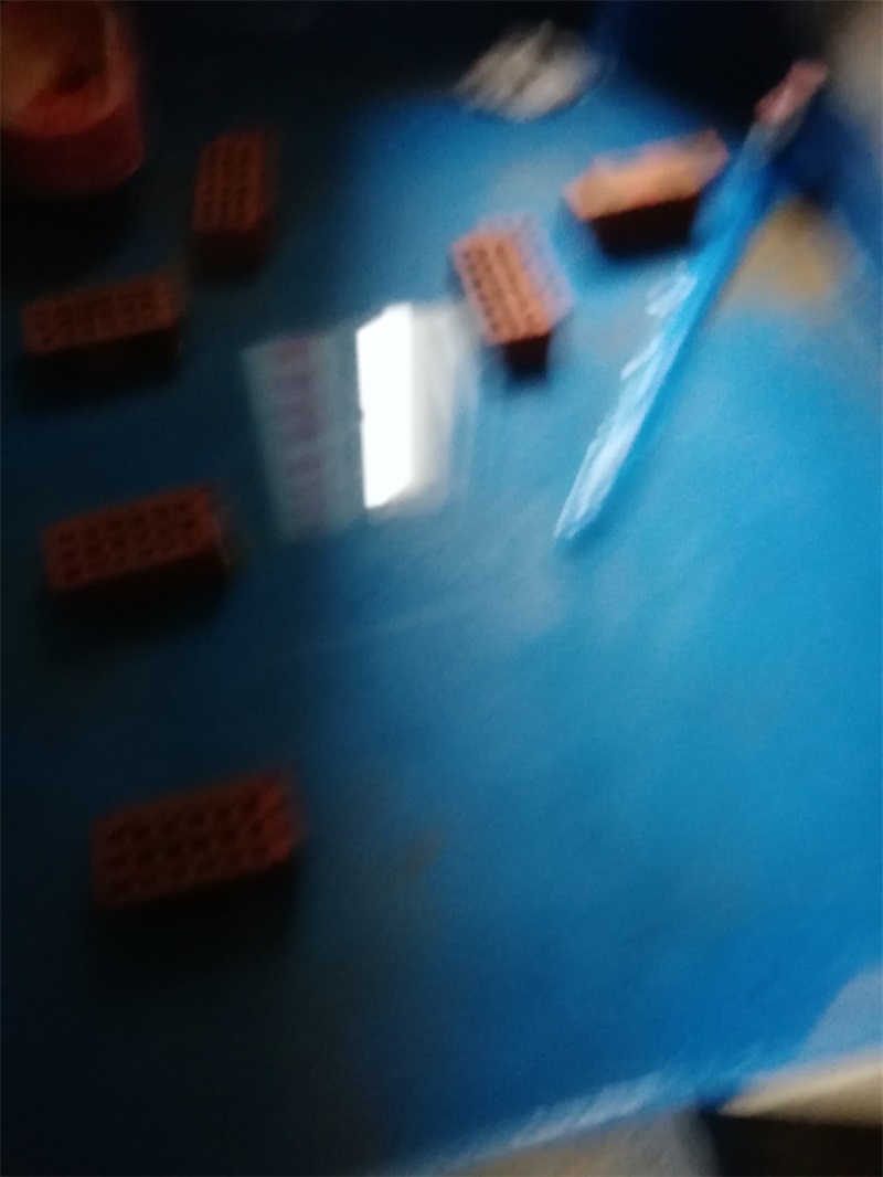 IMG_20181228_145103.jpg