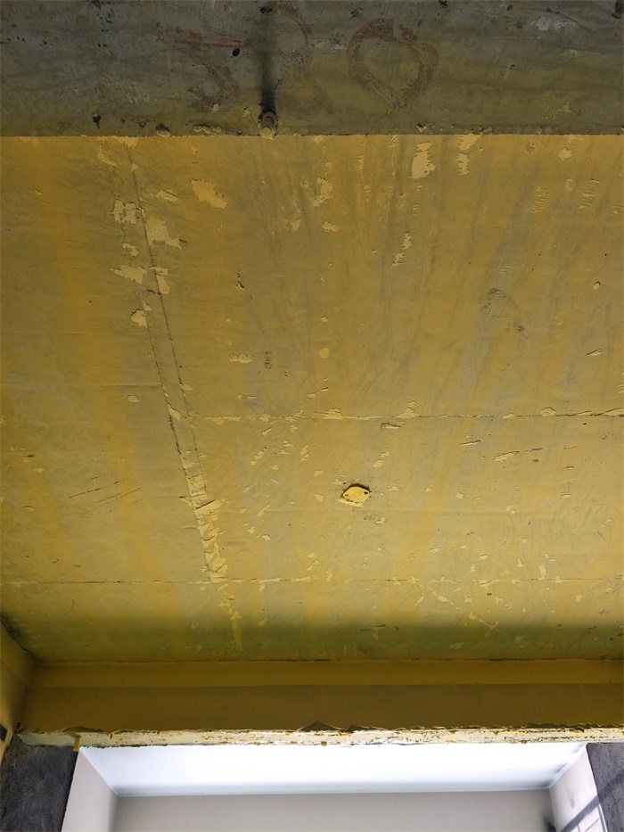 IMG20190323135647.jpg