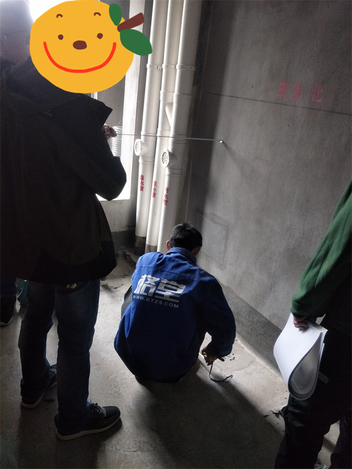 IMG20190324134512.jpg