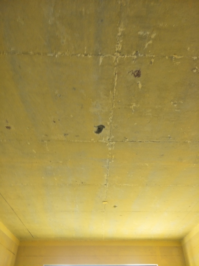IMG20190323140721.jpg
