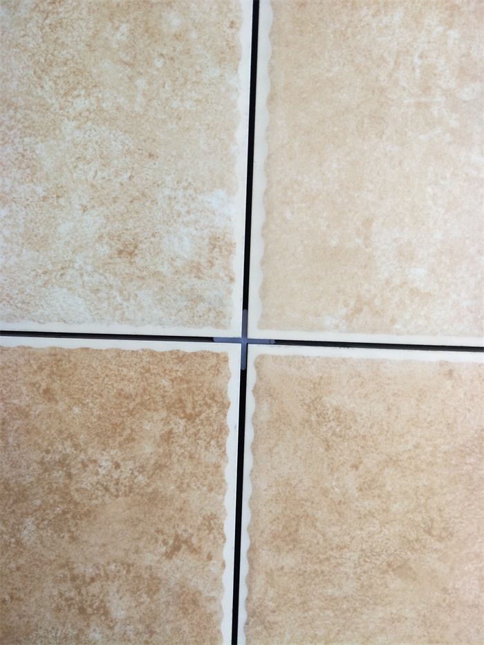 IMG20190324095531.jpg