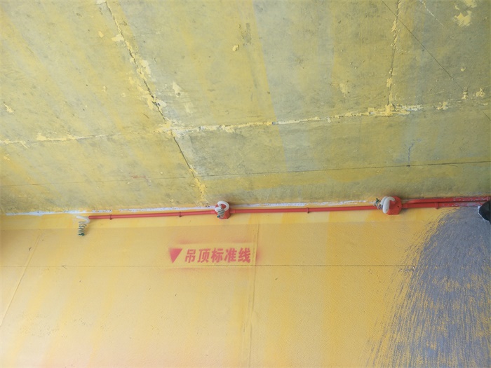 IMG20190327123310.jpg