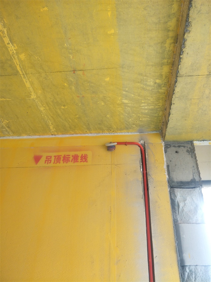 IMG20190327123325.jpg