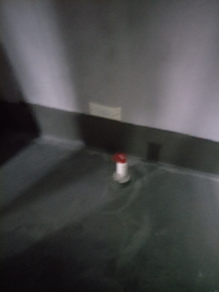 IMG20190330085409.jpg