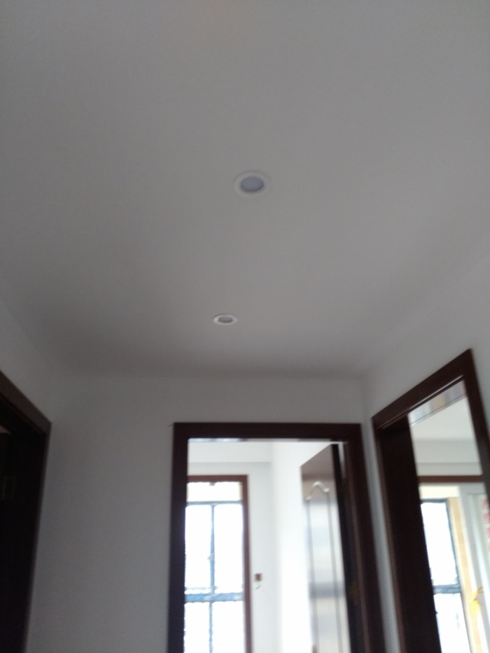 IMG_20190329_145132.jpg
