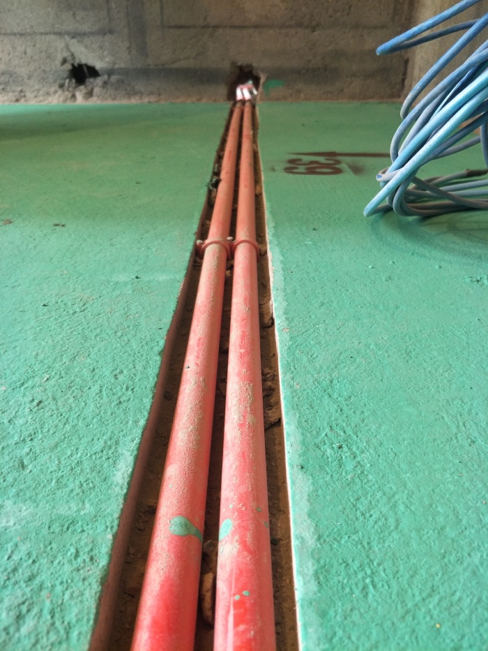 IMG20190329134755.jpg
