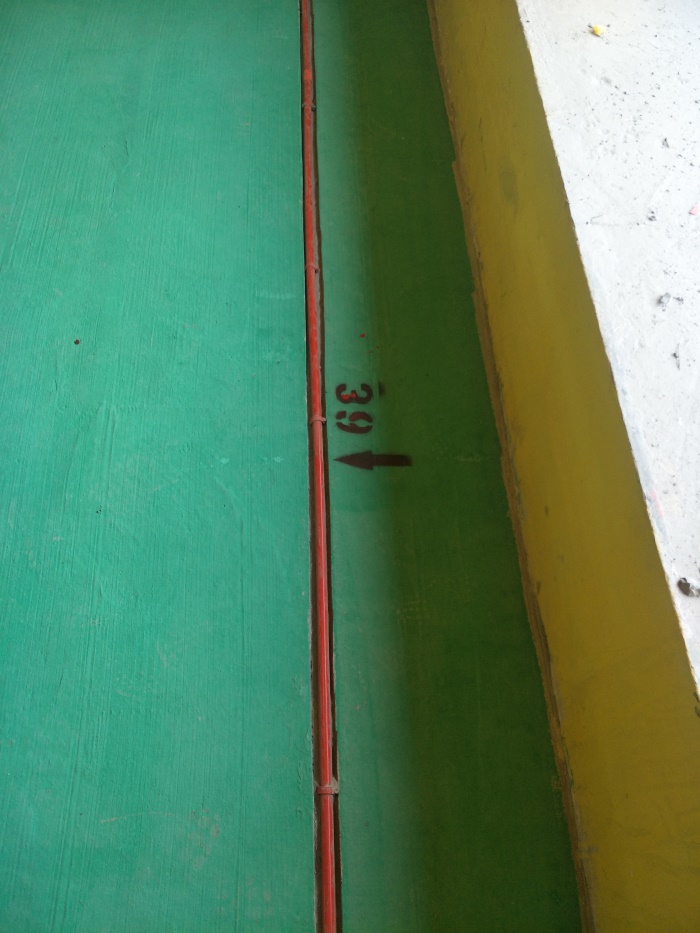IMG20190329135003.jpg