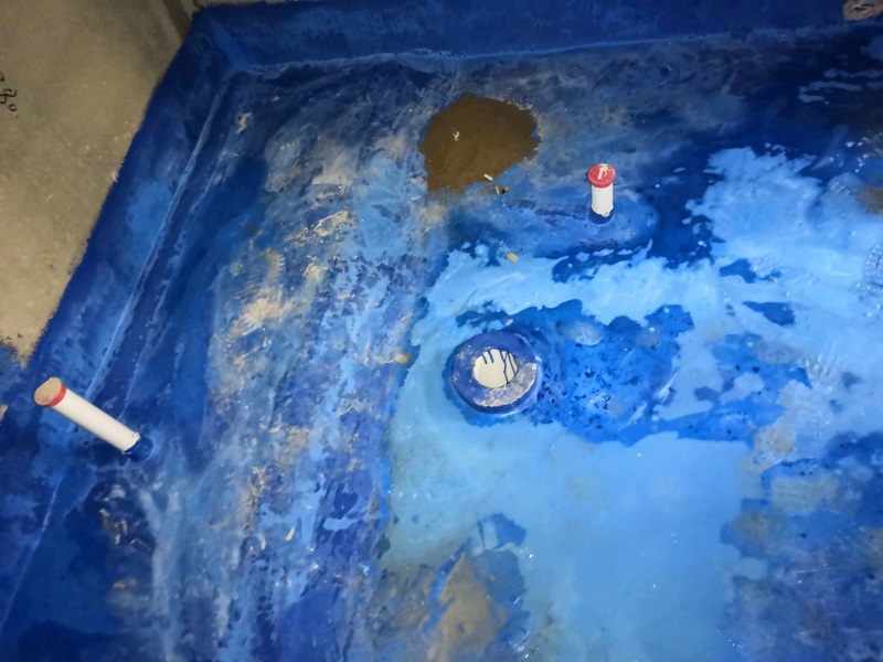 IMG_20190307_141220.jpg
