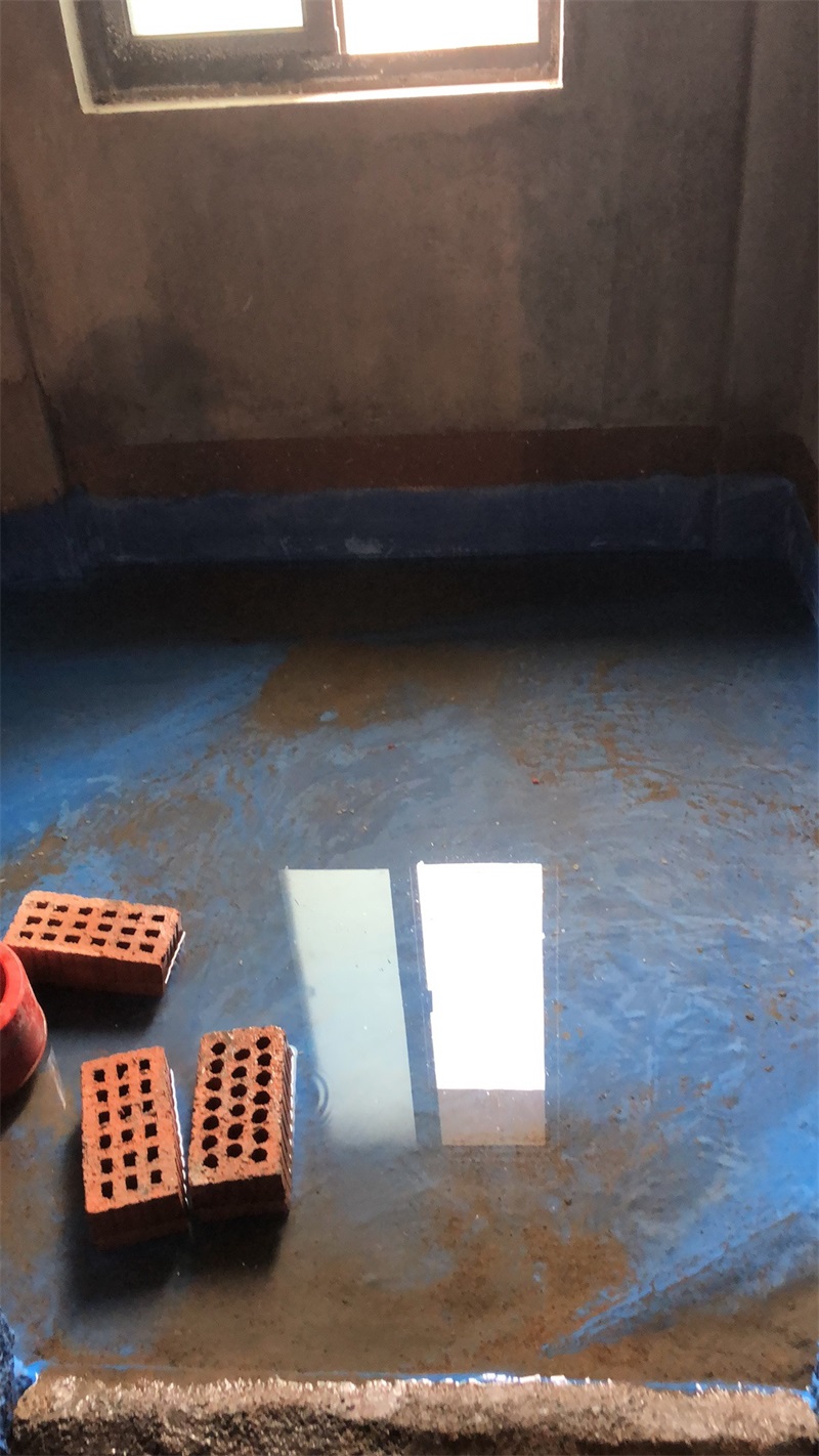 mmexport1551835519580.jpg