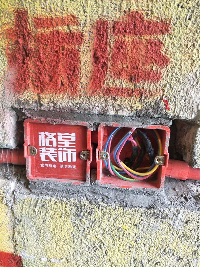 IMG20190329135044.jpg