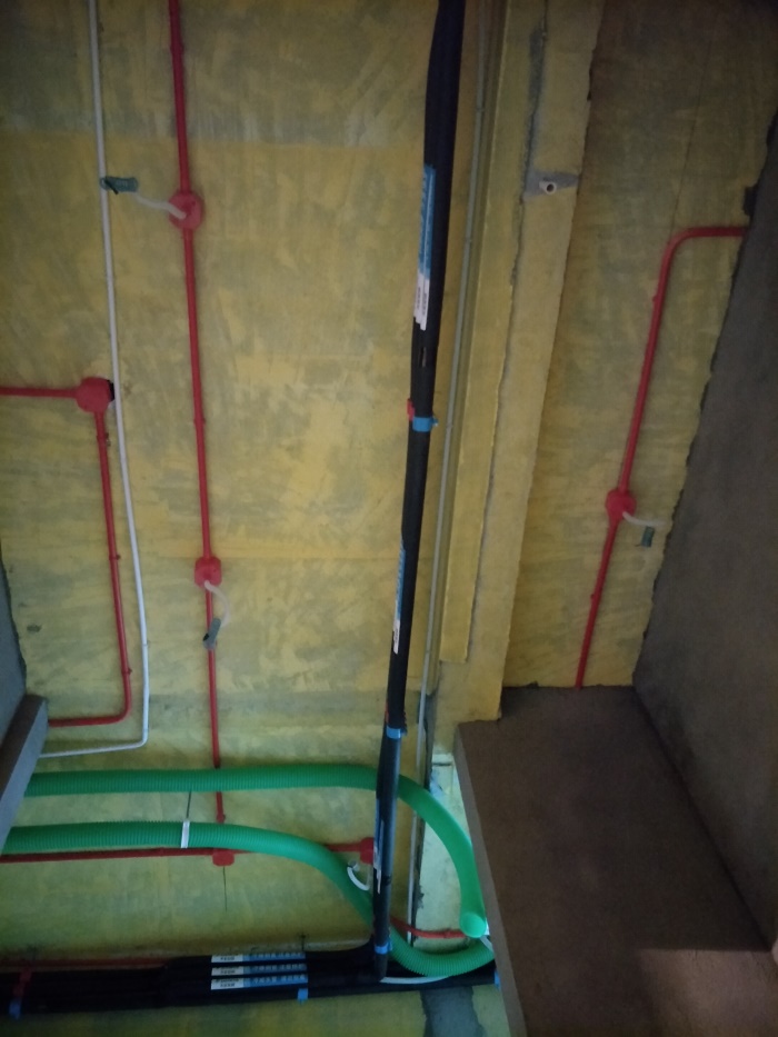 IMG20190331084923.jpg