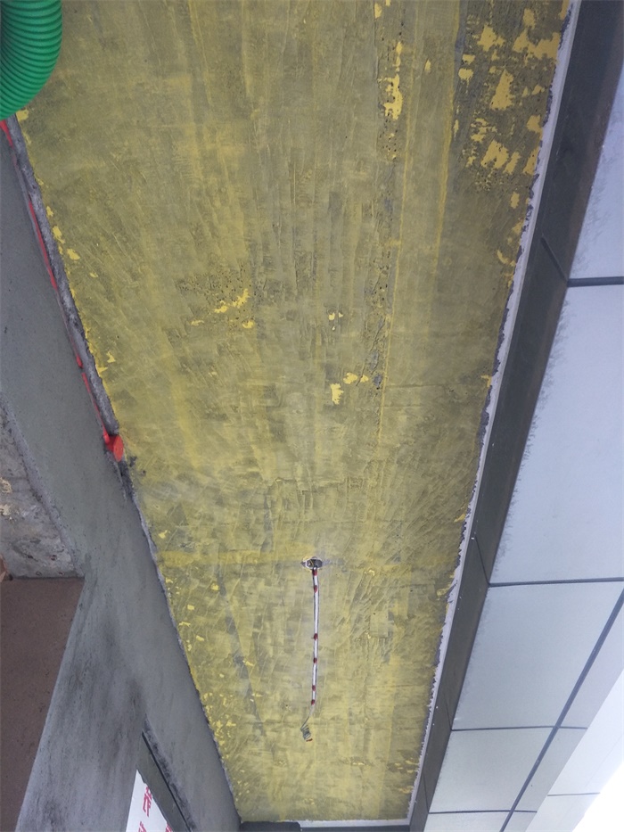 IMG20190331085908.jpg