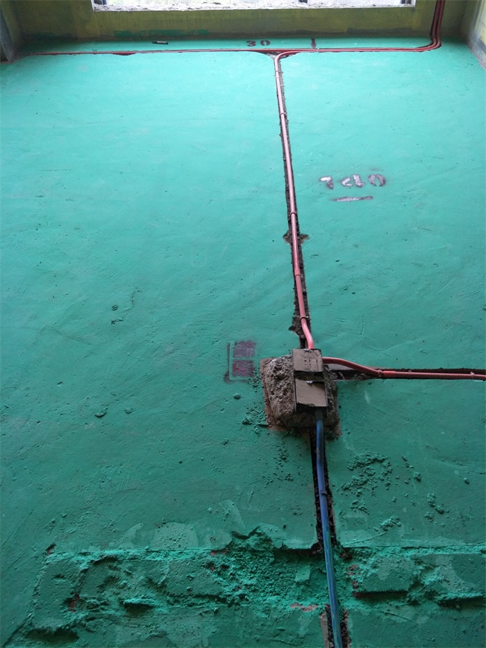 IMG20190331091056.jpg