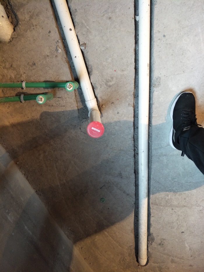IMG20190331093933.jpg