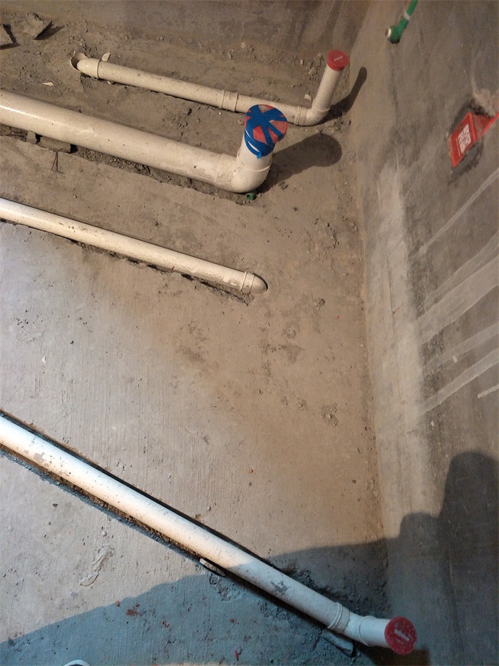 IMG20190331093928.jpg