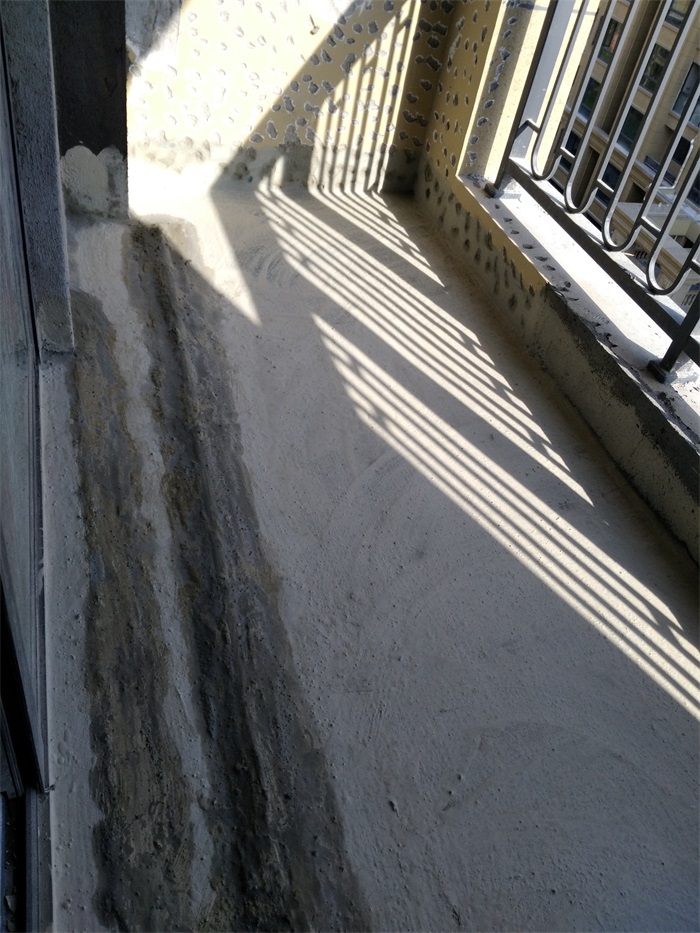 IMG_20190315_154927.jpg