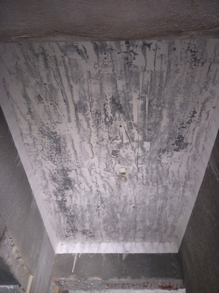 IMG20190403114620.jpg