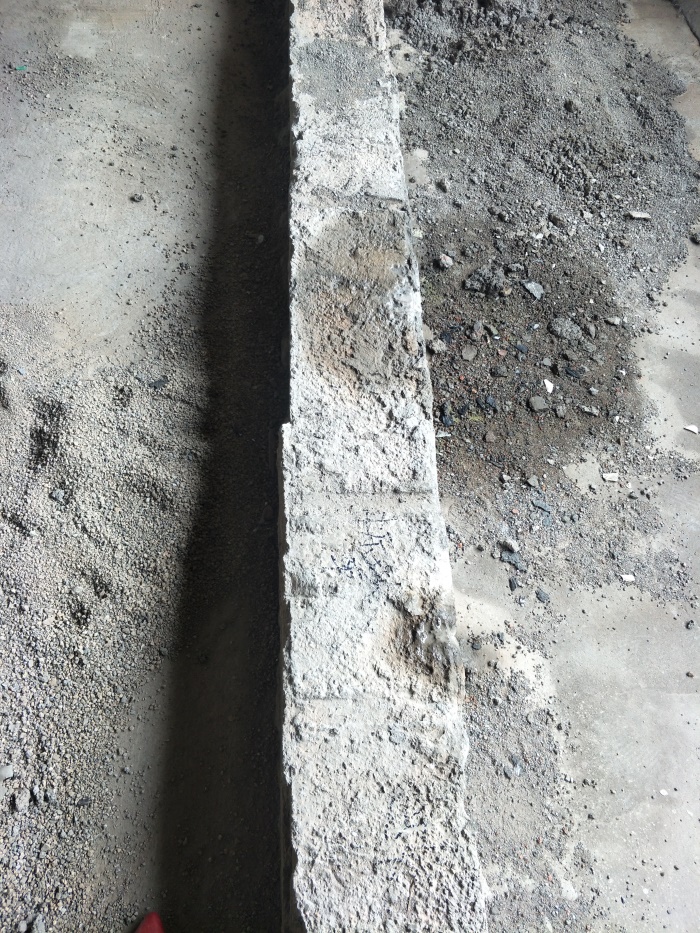 IMG20190329095050.jpg