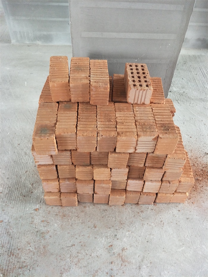 IMG20190403105459.jpg