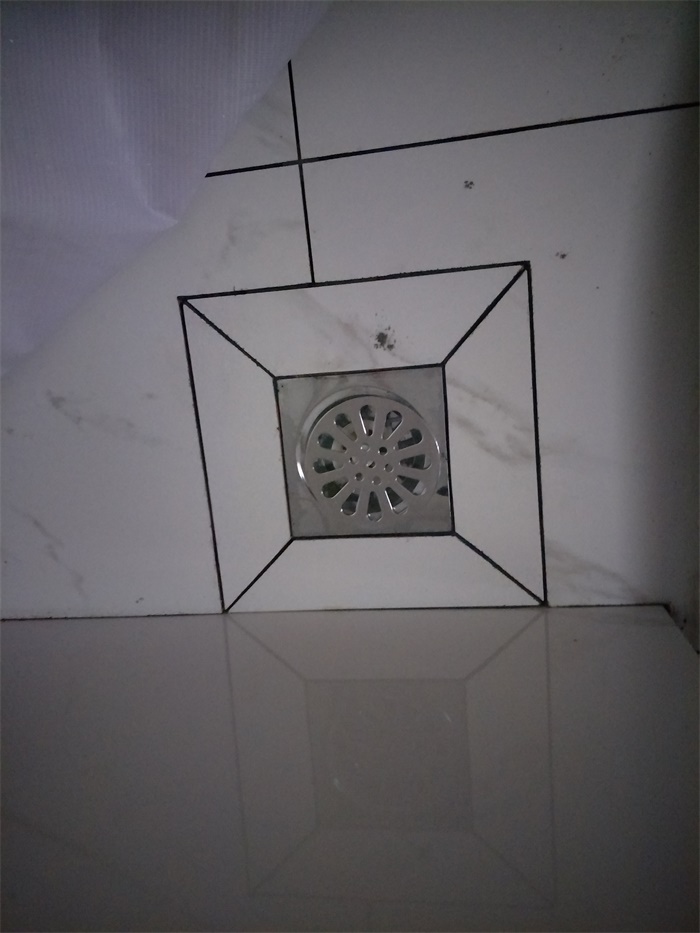 IMG20190403121115.jpg