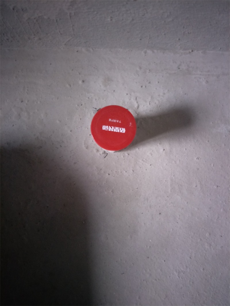 IMG20190322095521.jpg