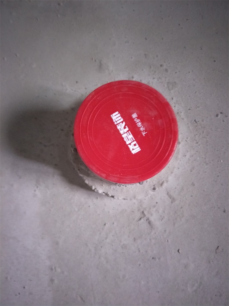 IMG20190322095534.jpg