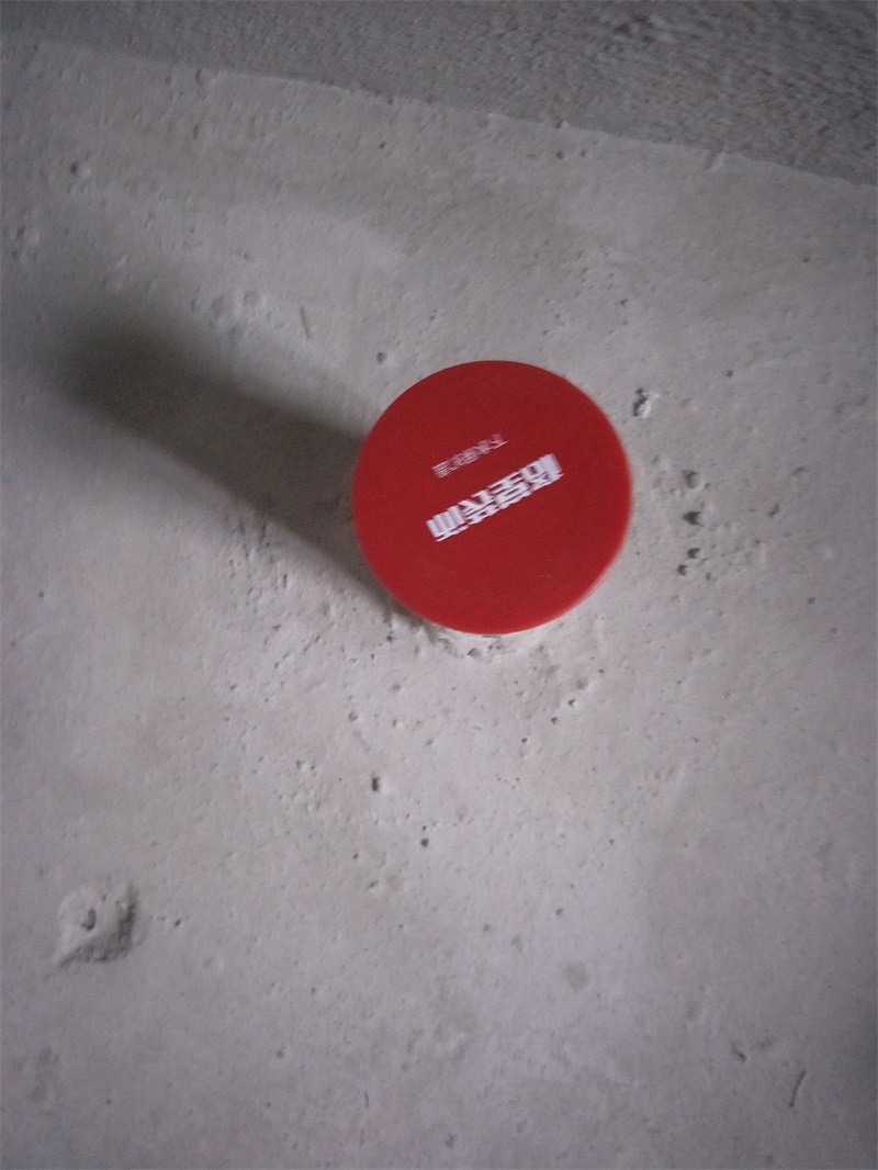 IMG20190322095536.jpg