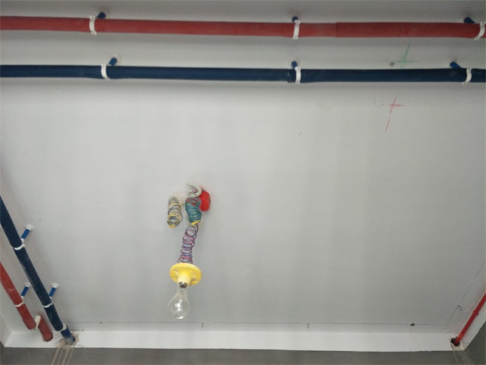 IMG20190404112110.jpg
