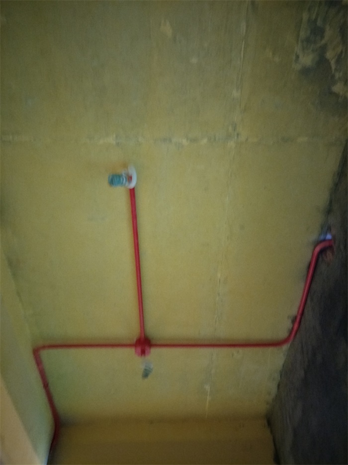 IMG20190404112338.jpg