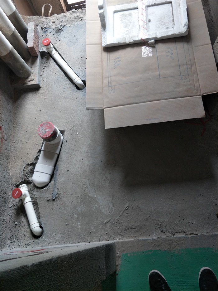 IMG20190404113047.jpg